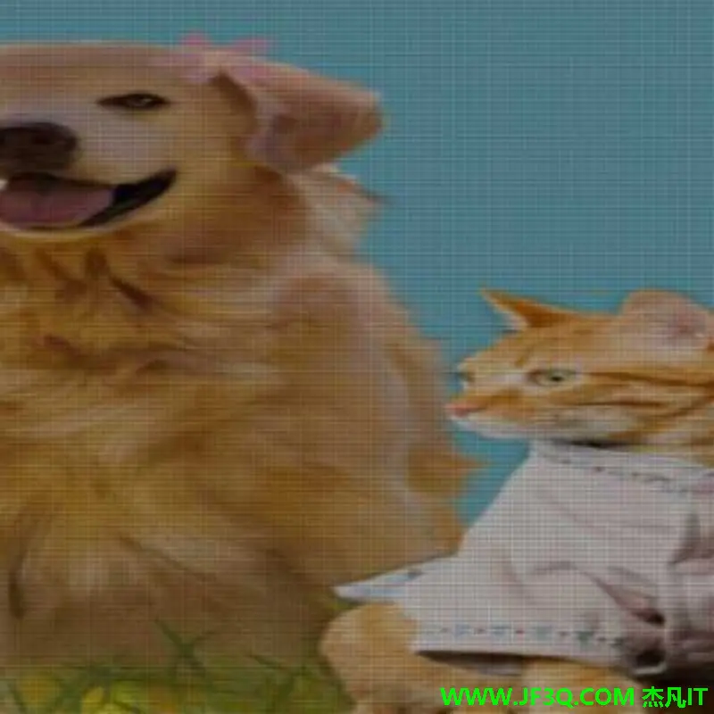 基于SpringBoot2+Vue2的宠物上门服务在线平台